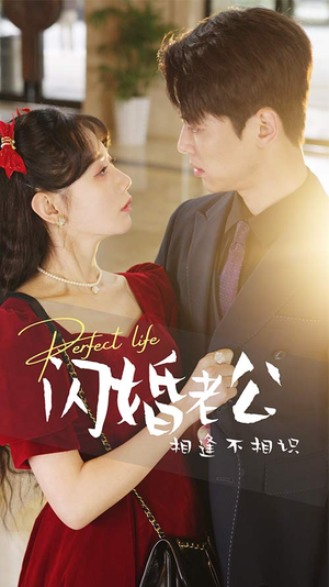 闪婚老公相逢不相识（90集）更新时间一览表