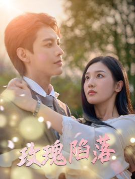 玫瑰陷落（67集）在哪里可以看