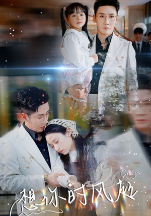 想你时风起（69集）番茄短剧免费看