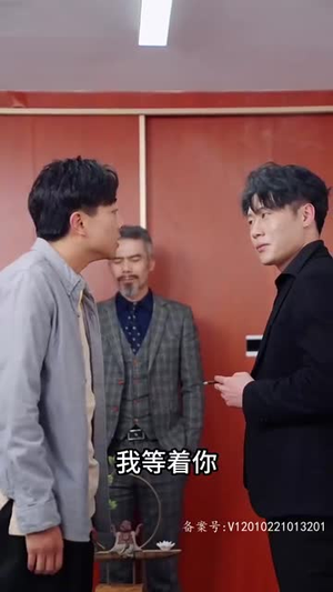 28.系统提示您的钱已到账（100集）评价怎么样