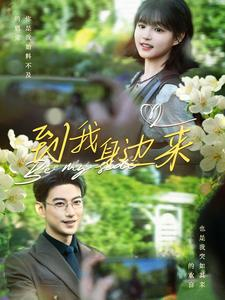 到我身边来（100集）短剧追不停