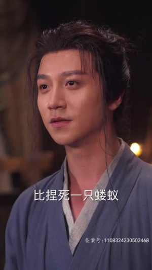 傻王夺嫡开局发配北凉（82集）短剧视频分享