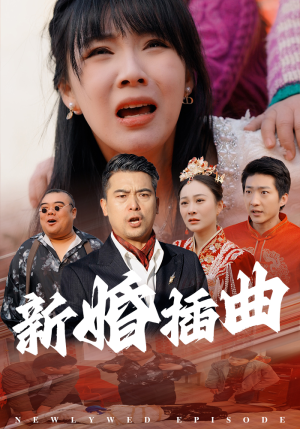 31.新婚插曲（29集）海量资源免费看