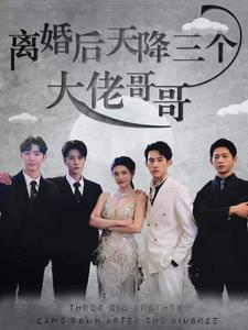 离婚后天降三个大佬哥哥（83集）免费短剧看不停