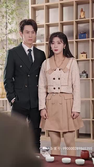 新版 离婚后她惊艳了世界（99集）视频在线看