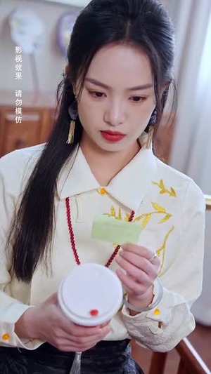 53.蛇年大吉之绣圣传奇（70集）第一季