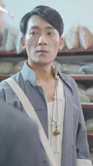 仙婿（77集）新短剧推荐