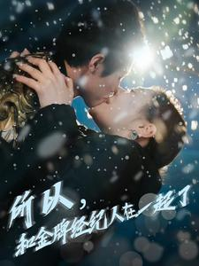 所以和金牌经纪人在一起了（30集）好看又上头短剧