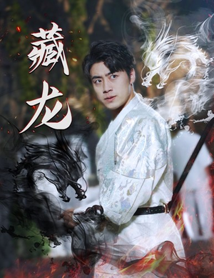 藏龙（74集）短剧热门推荐