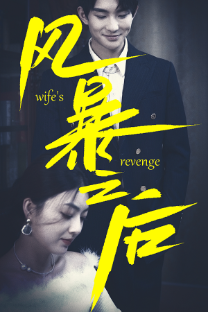 风暴之后（80集）精彩短剧热播