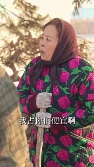 双生逆途（80集）免费短剧看不停