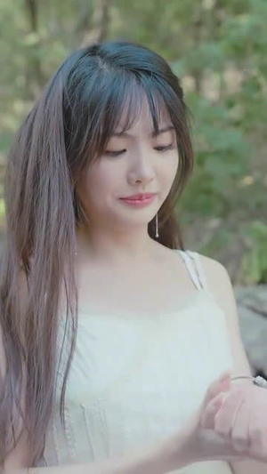 插翅难飞 （30集）全集