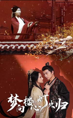 梦向楼心灯火归（37集）免费短剧合集