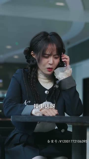 风起时见你（93集）热门短剧看不停