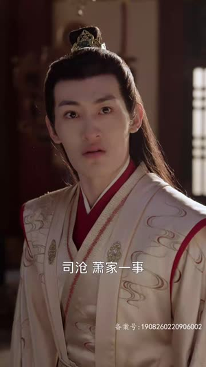 凤掌九天（100集）看短剧放松一下