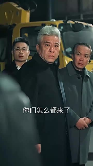 家和万事兴（57集）短剧解说全集