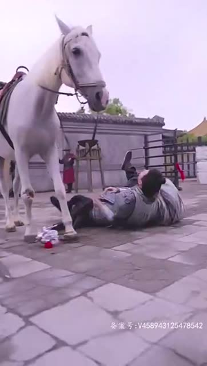 一跤摔出个泼天富贵（93集）热播短剧免费看