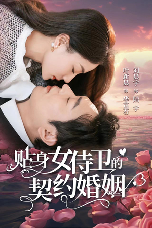 贴身女侍卫的契约婚姻（91集）精彩短剧推荐