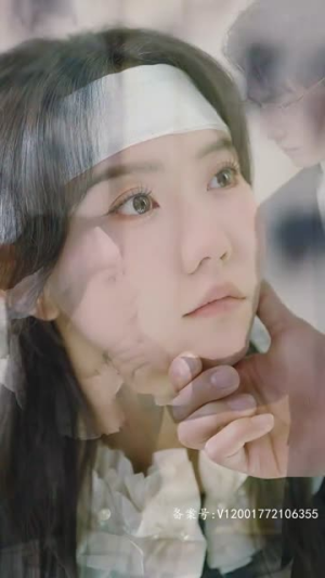 偏爱藏不住（78集）免费在线看全集