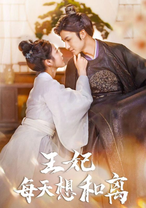 王妃每天想和离（97集）精彩短剧天天看
