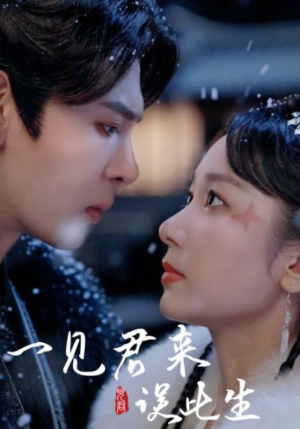 一见君来误此生（95集）怎么看全集