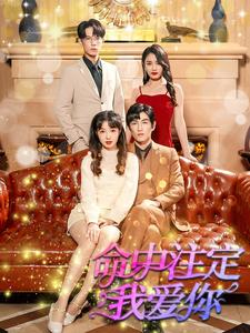 命中注定我爱你（99集）排行榜前十短剧