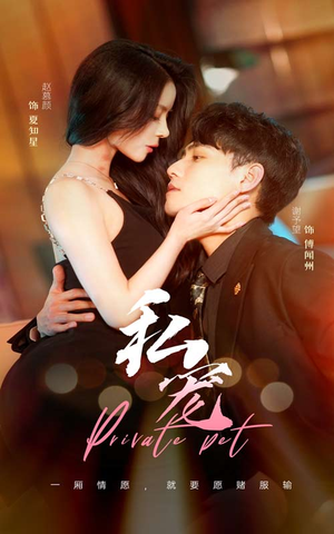 私宠（94集）热播短剧免费看