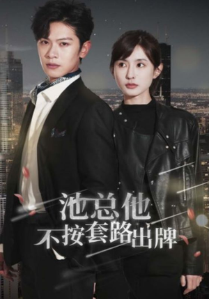 池总他不按套路出牌（100集）短剧太精彩