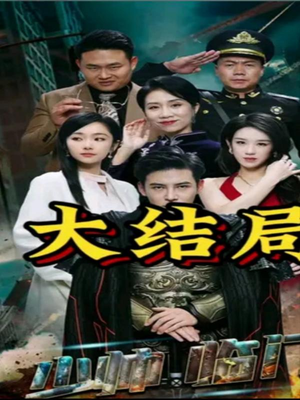 少帅临门（84集）解说