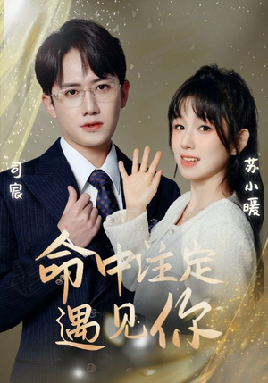 命中注定遇见你（96集）贝贝短剧分享