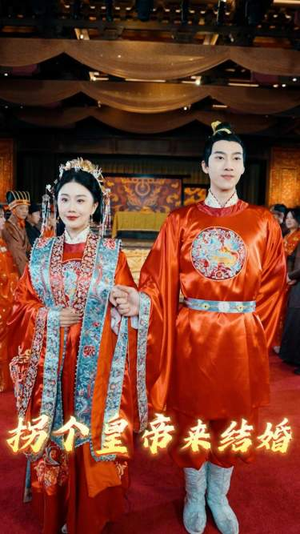 拐个皇帝来结婚（88集）经典老剧免费看