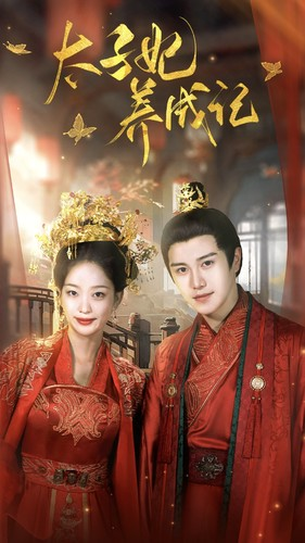 太子妃养成记（97集）全集一次看完