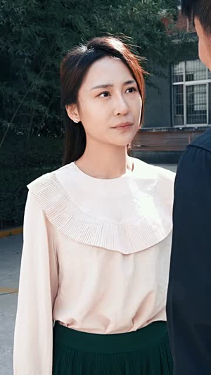 纵横2000（100集）热门短剧追不停