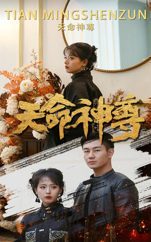 天命神尊（102集）观看软件