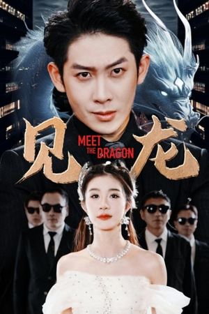 见龙（78集）短剧排行榜