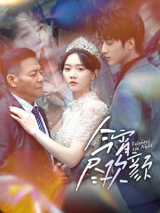 今宵尽欢颜（99集）网络小短剧