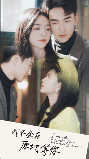 我不会在原地等你（48集）热门短剧排行榜