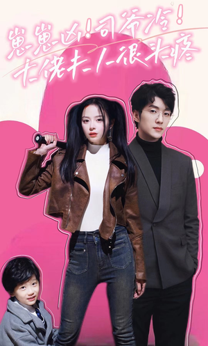 崽崽凶！司爷冷！大佬夫人很头疼（80集）短剧免费看