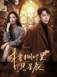 梧桐叶里思星辰（100集）热播短剧重燃