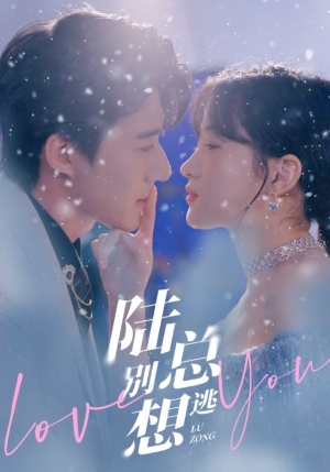 陆总别想逃（80集）短剧热门合集