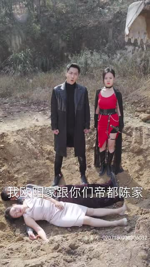 帝尊殿之飞龙天下（100集）最新上映的短剧