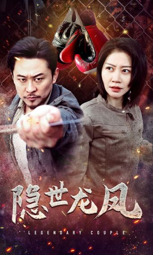 隐世龙凤（63集）演员表