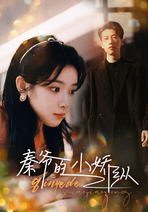 秦爷的小娇纵（96集）最火短剧热播