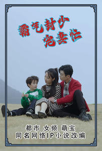 霸气封少宠妻忙（80集）短剧有好货推荐