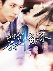 安能知我是情深（120集）直接看到大结局