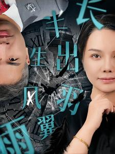 半生风雨长出羽翼（37集）一口气看完