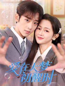 爱在大梦初醒时（100集）火热短剧抢先看