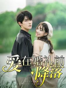 爱在婚礼前降落（50集）最新上映免费看