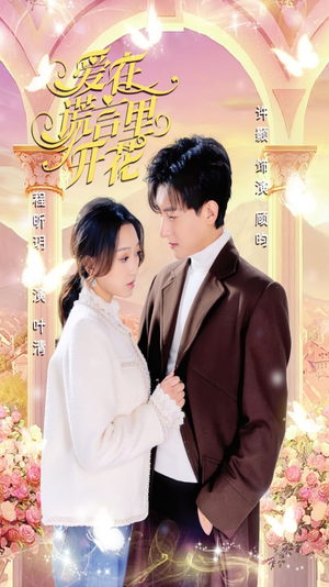 爱在谎言里开花（80集）免费看