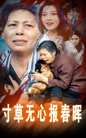 孝子慈孙（31集）1-102集